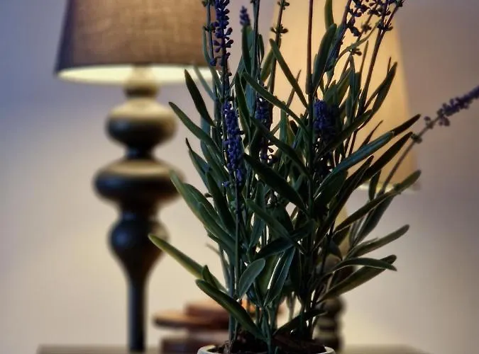 Apartmán Riverside Garden Marina