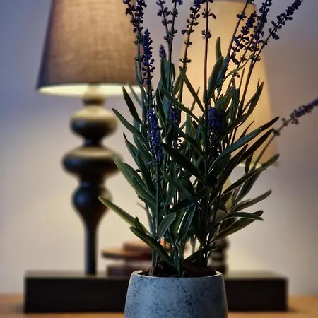 Апартаменты Riverside Garden Marina