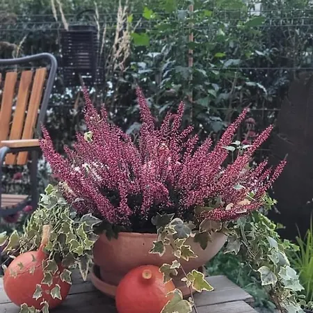 Riverside Garden Marina Апартаменты Гданьск