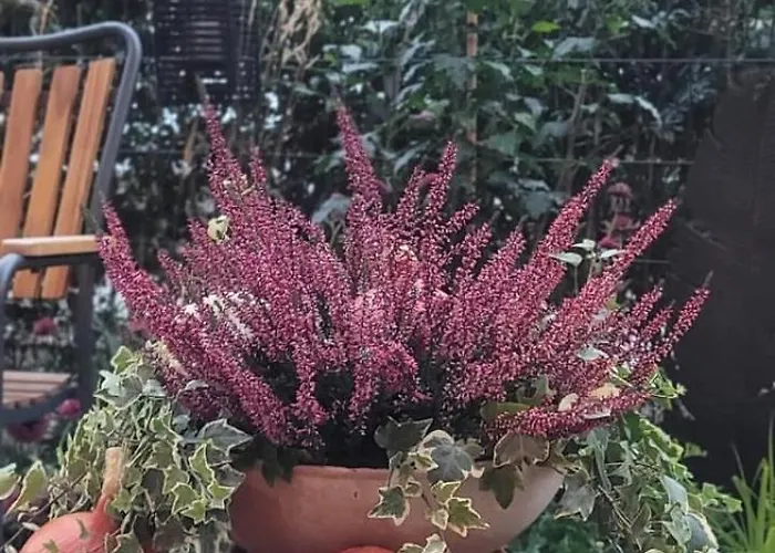 Riverside Garden Marina Apartman Gdańsk